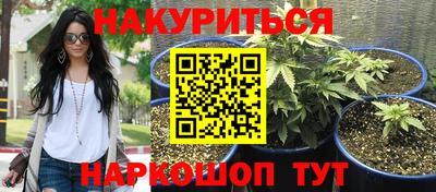 apvp Тверь