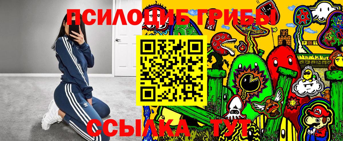 Павловский Посад  Галлюциногенные грибы прущие грибы  Псилоцибиновые грибы мухоморы  Вход с VPN 