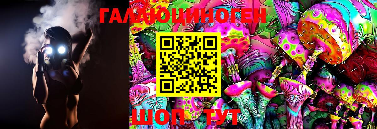 Галлюциногенные грибы Psilocybe Павловский Посад