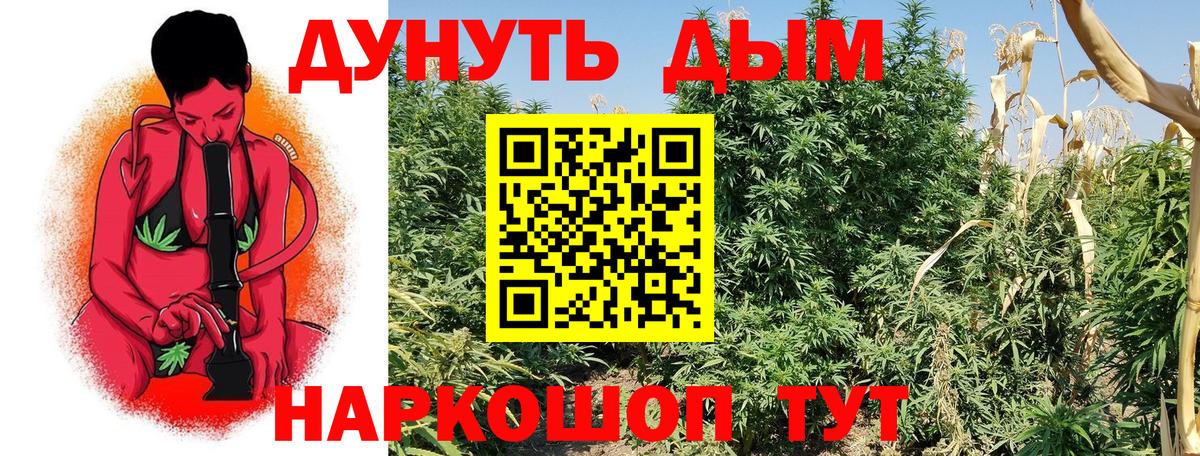 Бошки марихуана сатива Павловский Посад